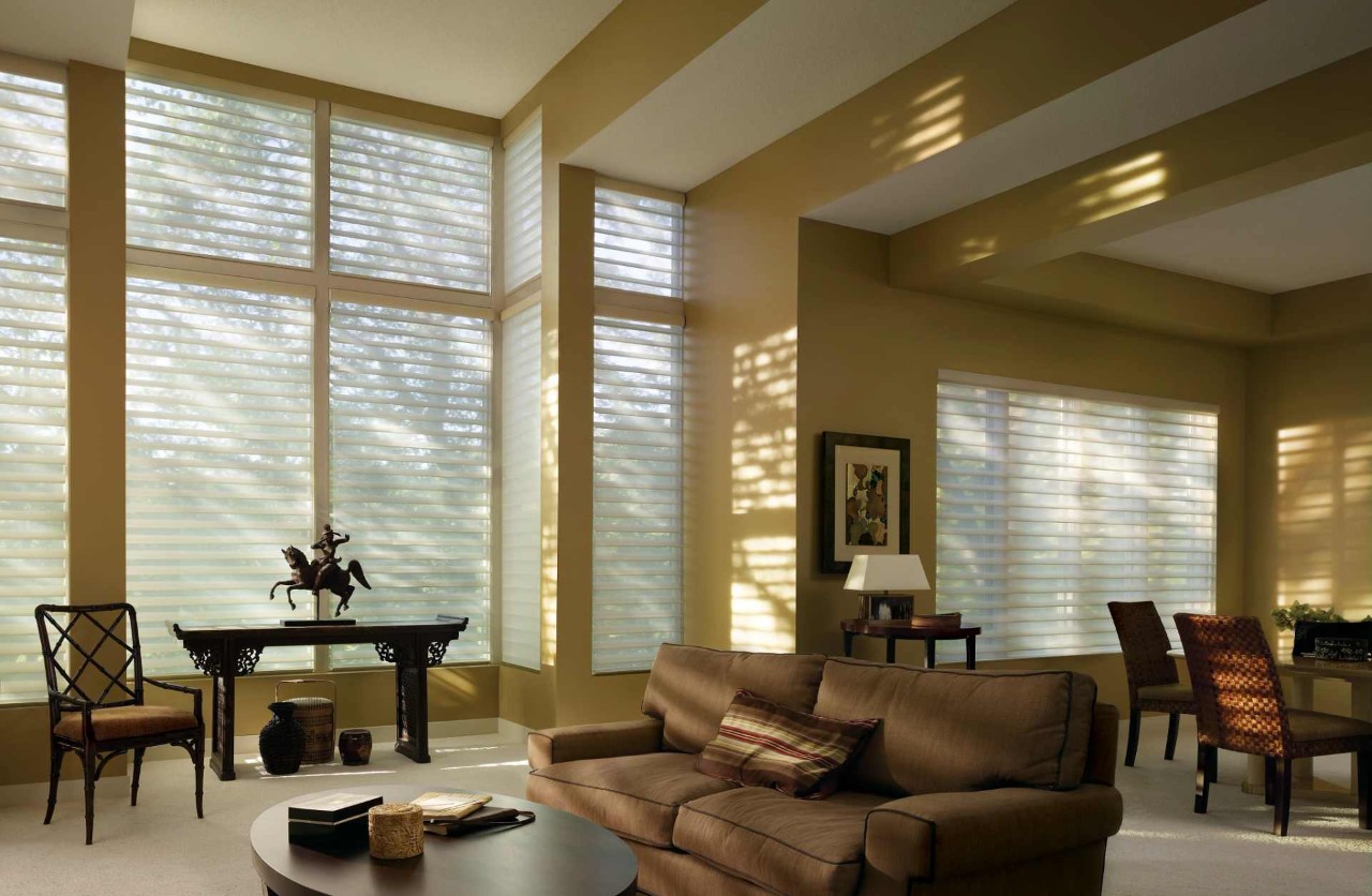 Hunter Douglas Silhouette® Sheer Shades light enhancing window treatments window coverings near Hayden, Idaho (ID)