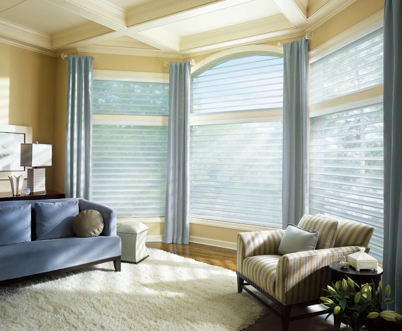 Hunter Douglas Silhouette® Sheer Shades near Hayden, Idaho (ID)